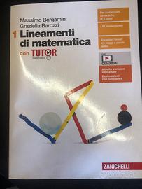 Libro matematica zanichelli Lineamenti di matemati