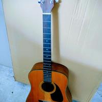 Chitarra acustica con custodia