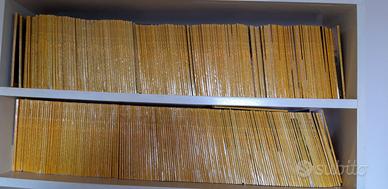 Lotto riviste National Geographic lingua inglese