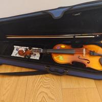 violino