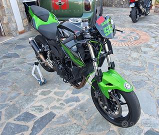 kawasaki 