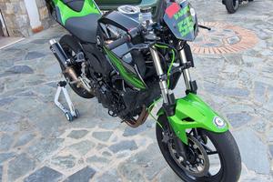 kawasaki 