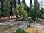 Immagine 22