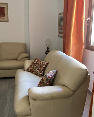 Coppia di divani in pelle chetau d’ax