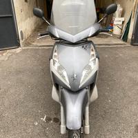 Pegeout geopolis 250