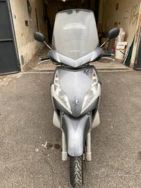 Pegeout geopolis 250