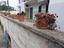 Immagine 27