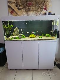 acquario 240 litri completo 