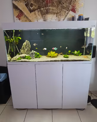 acquario 240 litri completo 