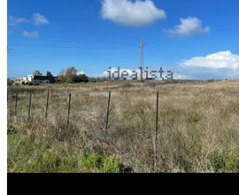 Terreno agricolo