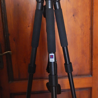 Cavalletto Fotografico Professionale Tripod BH-22Q