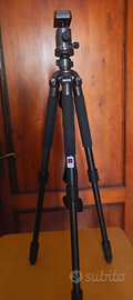 Cavalletto Fotografico Professionale Tripod BH-22Q