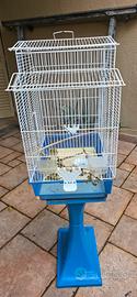 gabbia per canarini