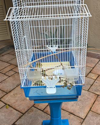 gabbia per canarini