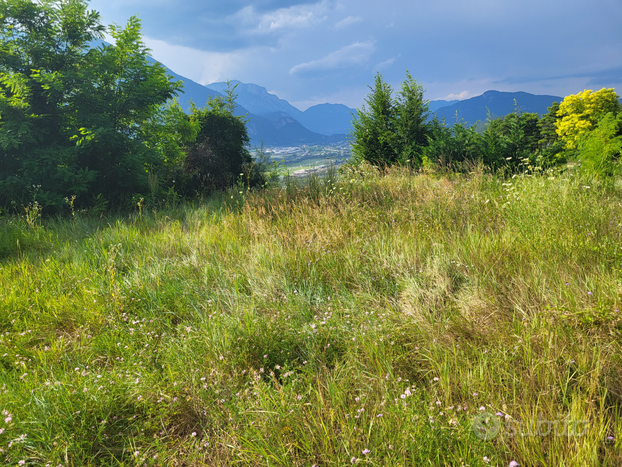 Terreno agricolo collina di Mattarello