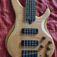 Basso Yamaha TRBX 605 Natural Satin - 5 corde