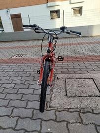 Bicicletta Riverside Bambina 