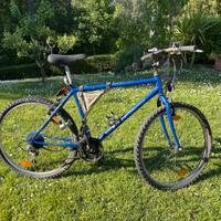 Bici da ristrutturare