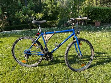 Bici da ristrutturare