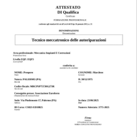 Meccatronico addetto alle riparazioni