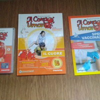 Il Corpo Umano (fascicolo + DVD + speciale)