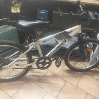Bici rock rider  st 100 bimbo
