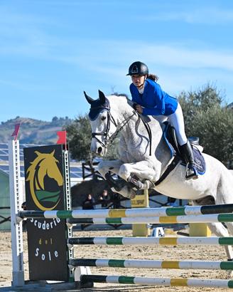Cavallo da salto ostacoli categorie brevetto