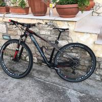 MTB Bottecchia ortles 297+