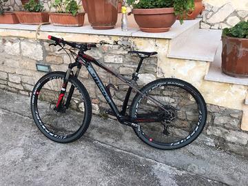 MTB Bottecchia ortles 297+