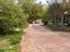 Immagine 13