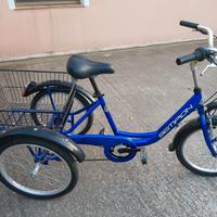 Bici triciclo per adulti