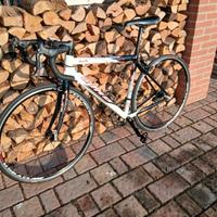 Bici da corsa Olmo