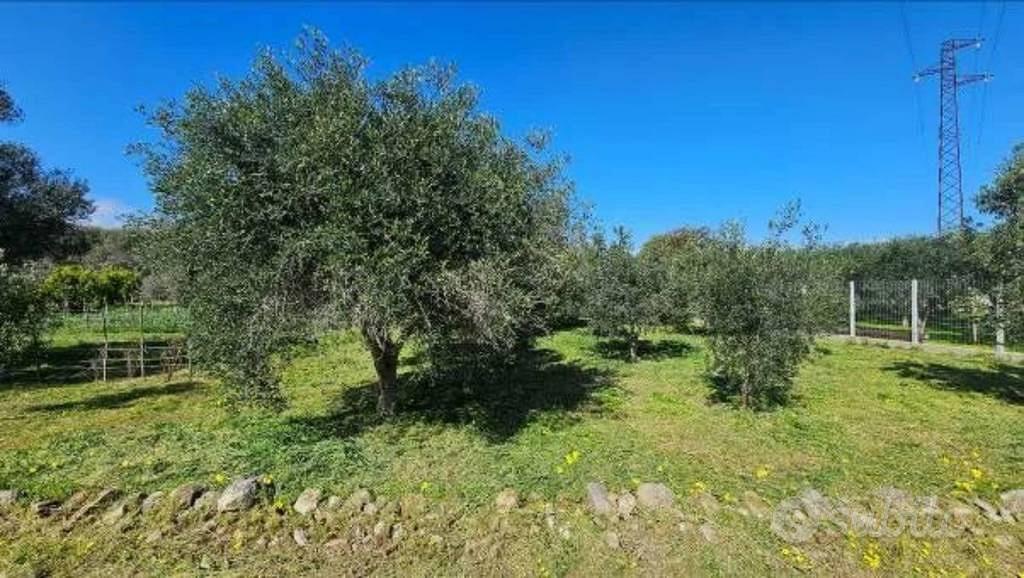 Immobile in asta di 2216 m² a Portigliola - Vista 3