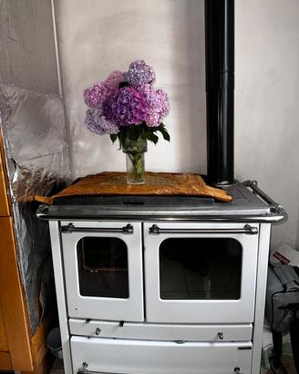 Stufa a legna Nordica  con forno 
