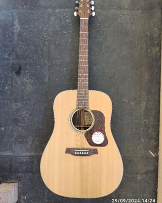 chitarra WALDEN modello Natura D560
