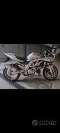 accetto scmb SV 1000 s 