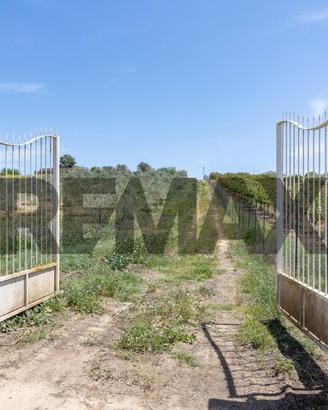 Villa singola - Caltagirone