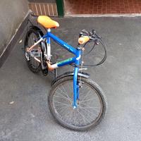 Bici bambino raggio 20