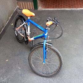 Bici bambino raggio 20