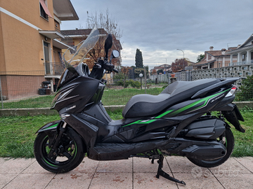Kawasaki j300