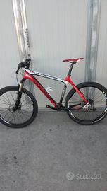 MTB in carbonio