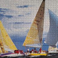 Puzzle-quadro già realizzato