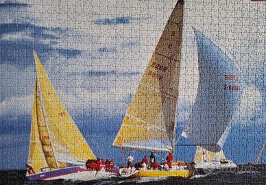 Puzzle-quadro già realizzato