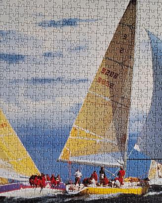 Puzzle-quadro già realizzato