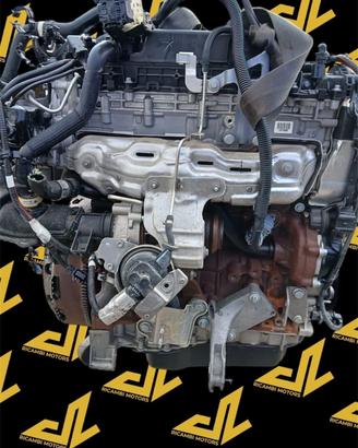 Motore completo Peugeot 2.0 Delphy AH02