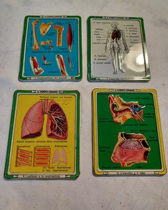 4 Targhette Vintage "Il Corpo Umano" Anni '70