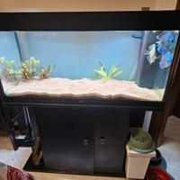acquario Juwel 180 lt
