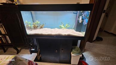 acquario Juwel 180 lt