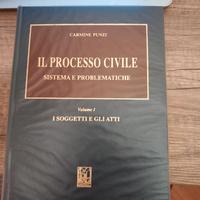 MANUALE DI PROCEDURA CIVILE  Carmine Punzi