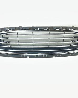 GRIGLIA PARAURTI FORD Fiesta 7° Serie 2091021 XUJ